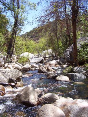 Downstream from Hutch's Pool